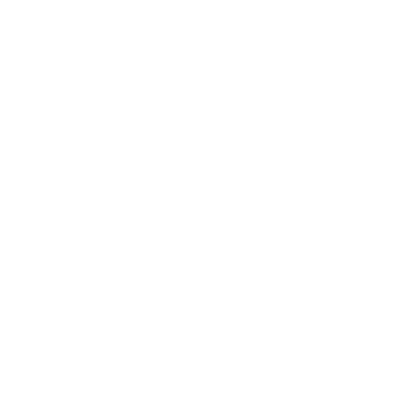 Nokod Security Logo